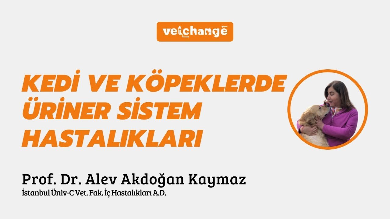 Kedi ve Köpeklerde Üriner Sistem Hastalıkları ''Prof. Dr. Alev Akdoğan Kaymaz''